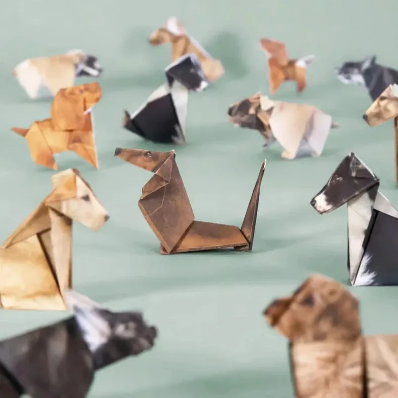 Creative DIY Paper Cats 50 She - Art Craft Cat ulasan dan harga