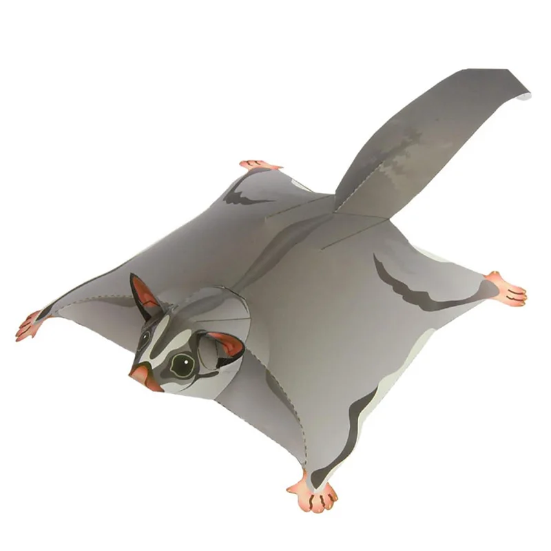 Sugar Glider Flying Mouse Hand - Art And Craft Nature ulasan dan harga