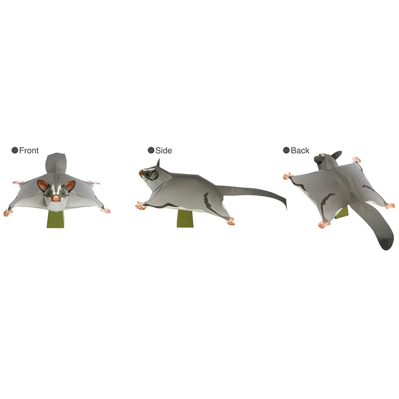Sugar Glider Flying Mouse Hand - Art And Craft Nature ulasan dan harga