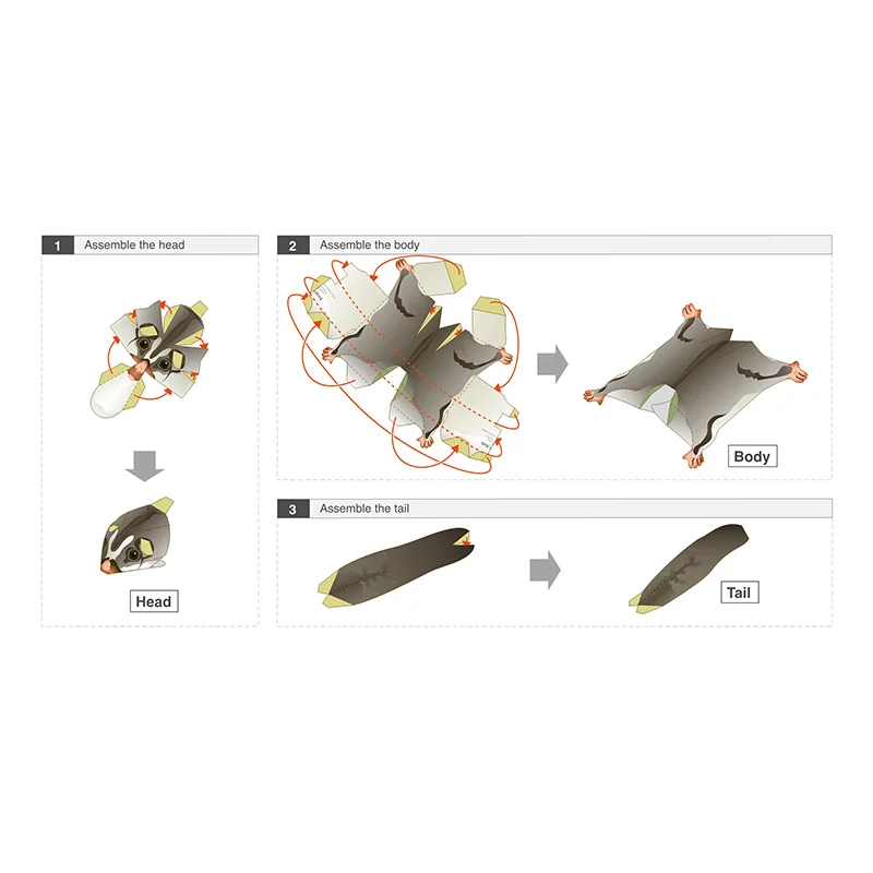 Sugar Glider Flying Mouse Hand - Art And Craft Nature ulasan dan harga