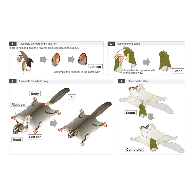 Sugar Glider Flying Mouse Hand - Art And Craft Nature ulasan dan harga